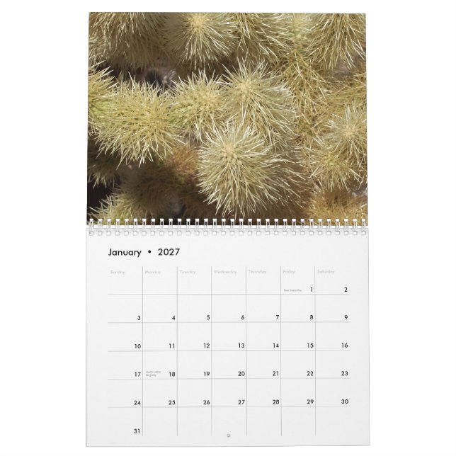 Calendario (Jan 2027)
