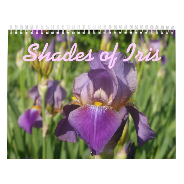 Calendario 0 2013 sombras de iris (Tapa)