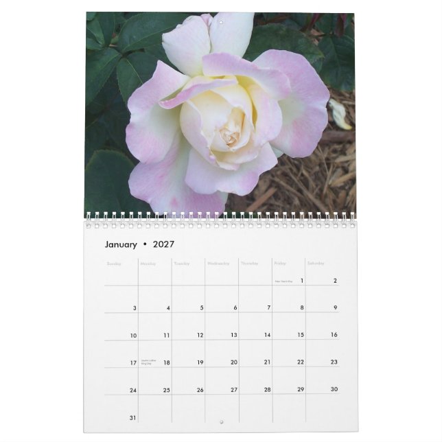 Calendario 100_1907, rosas 2006 de Overton (Jan 2027)
