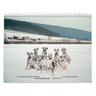 Calendario 11-2008_02, el Dalmatian doble de D… - Modificad