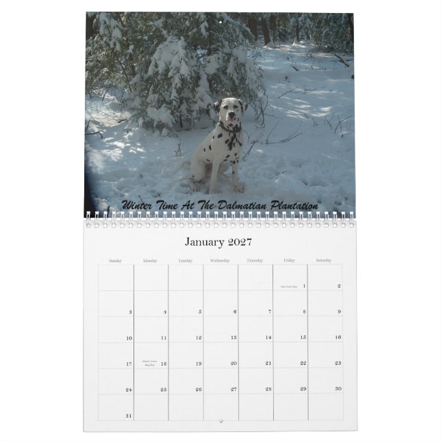Calendario 11-2008_02, el Dalmatian doble de D… - Modificado (Jan 2027)