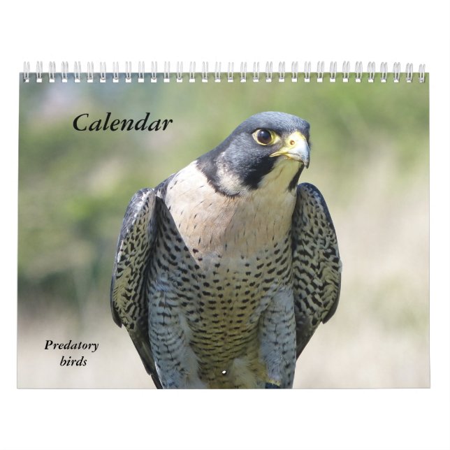 Calendario 12 meses, aves depredadoras (Tapa)
