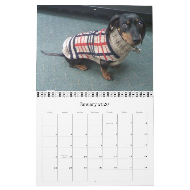 Calendario 12 meses con el perro del tootise (Jan 2026)