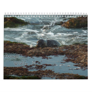 Calendario 12 Meses de animales y animales salvajes 3
