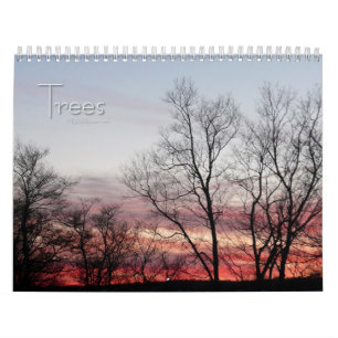 Calendario 12 Meses de Árboles Hermosos, 1ª Edición