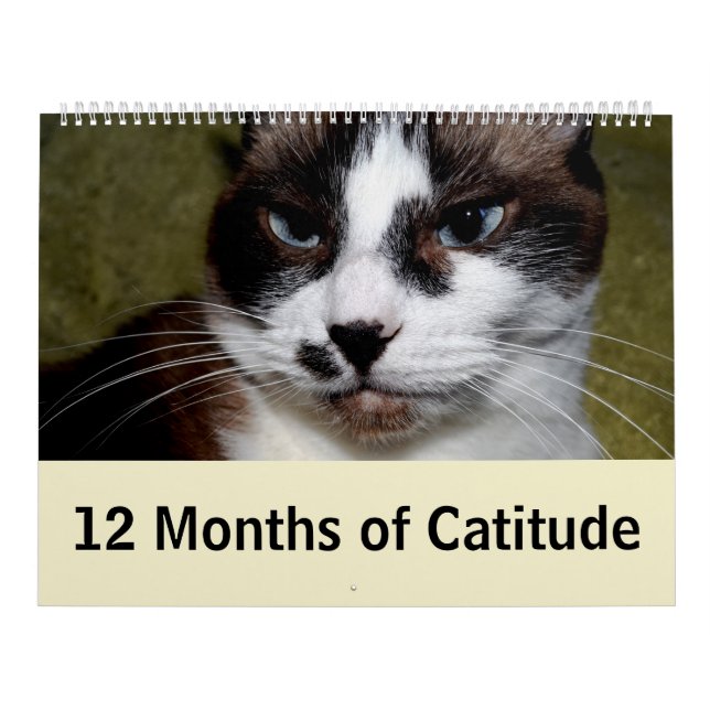 Calendario 12 meses de Catitude (Tapa)