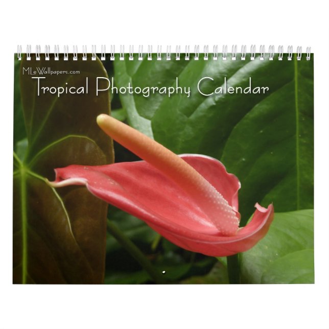 Calendario 12 meses de fotografía tropical, cuarta edición (Tapa)
