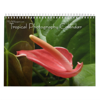 Calendario 12 meses de fotografía tropical, cuarta edición