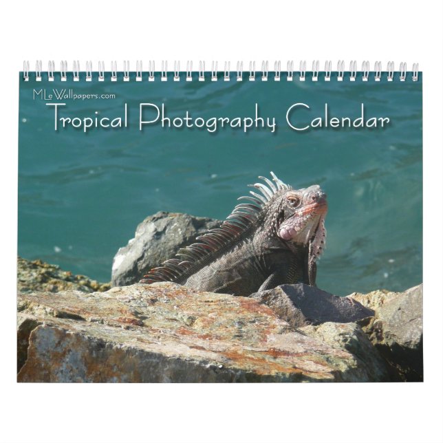Calendario 12 meses de fotografía tropical, segunda edición (Tapa)