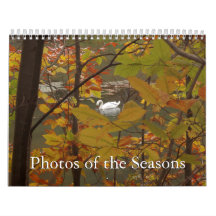 12 meses de fotos de las estaciones, 12ª edición