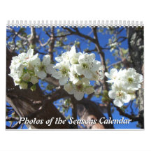 12 meses de fotos de las estaciones, décima edició