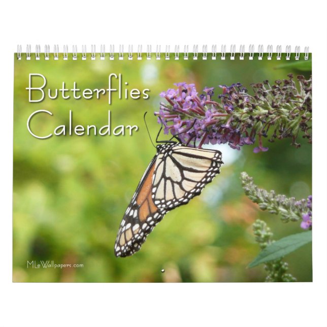 Calendario 12 meses de hermosas mariposas (Tapa)