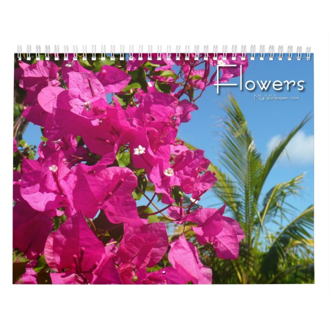 Calendario 12 meses de la fotografía floral, tercera edición (Tapa)