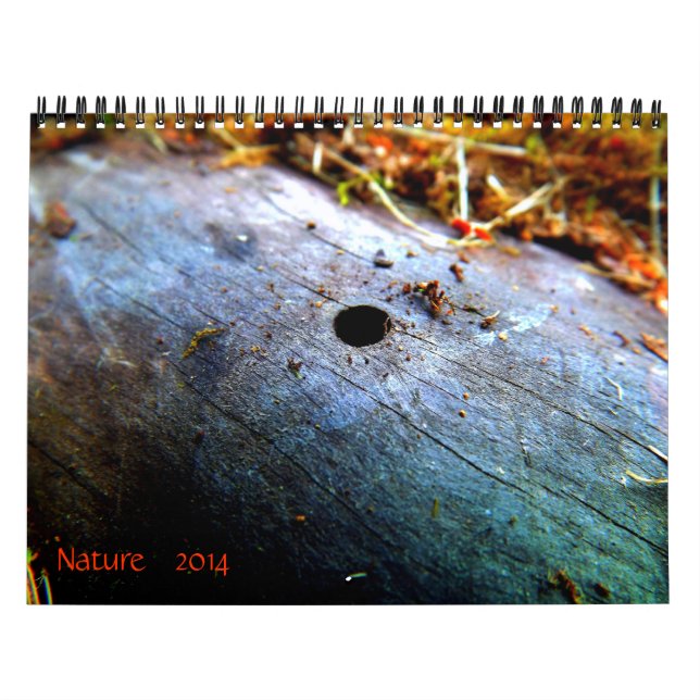 Calendario 12 meses de la naturaleza (Tapa)