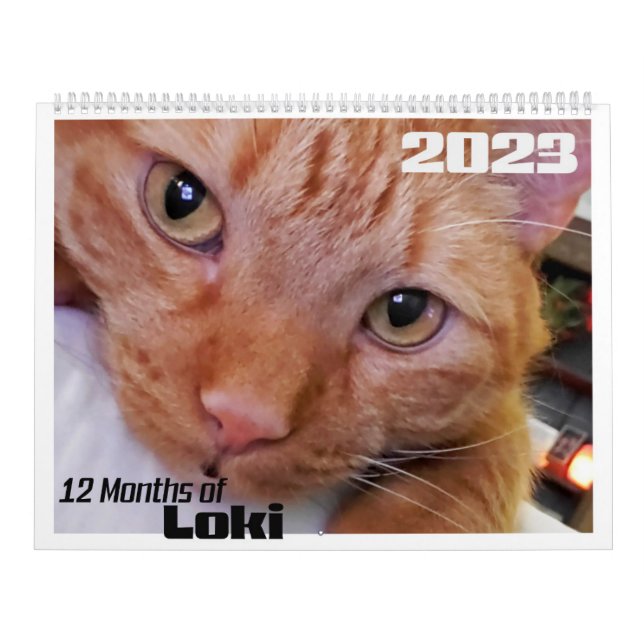 Calendario 12 meses de Loki un gato Naranja Tabby (Tapa)