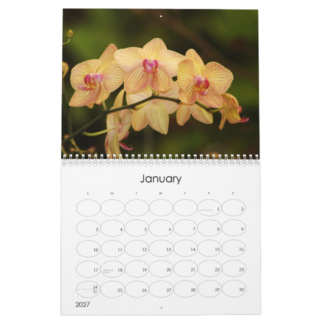 Calendario 12 meses de orquídeas hermosas (Jan 2027)