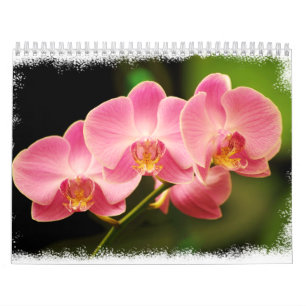 Calendario 12 meses de orquídeas hermosas