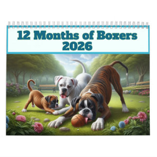 Calendario 12 meses de perros boxeadores: diversión de perro 