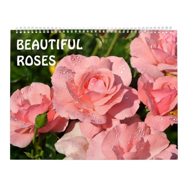 Calendario 12 meses Hermosos Rosas (Tapa)