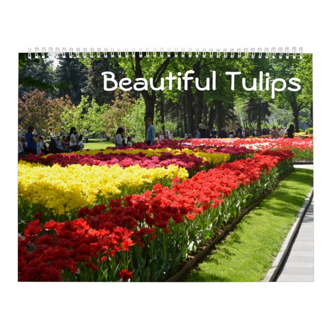 Calendario 12 meses Hermosos Tulipanes (Tapa)