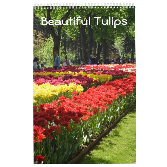 Calendario 12 meses Hermosos Tulipanes (Tapa)