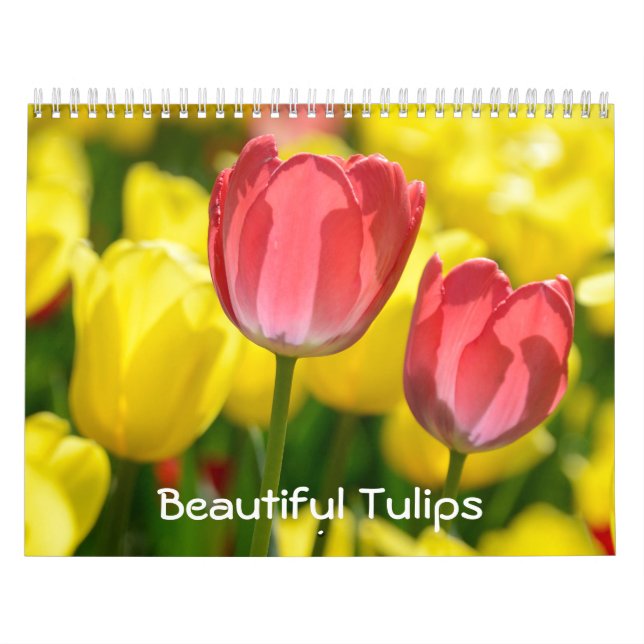 Calendario 12 meses Hermosos Tulipanes (#2) (Tapa)