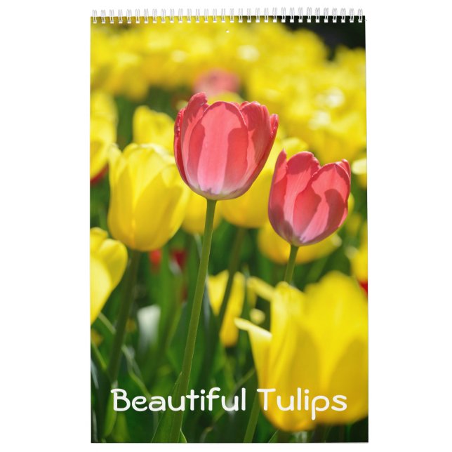 Calendario 12 meses Hermosos Tulipanes (#2) (Tapa)