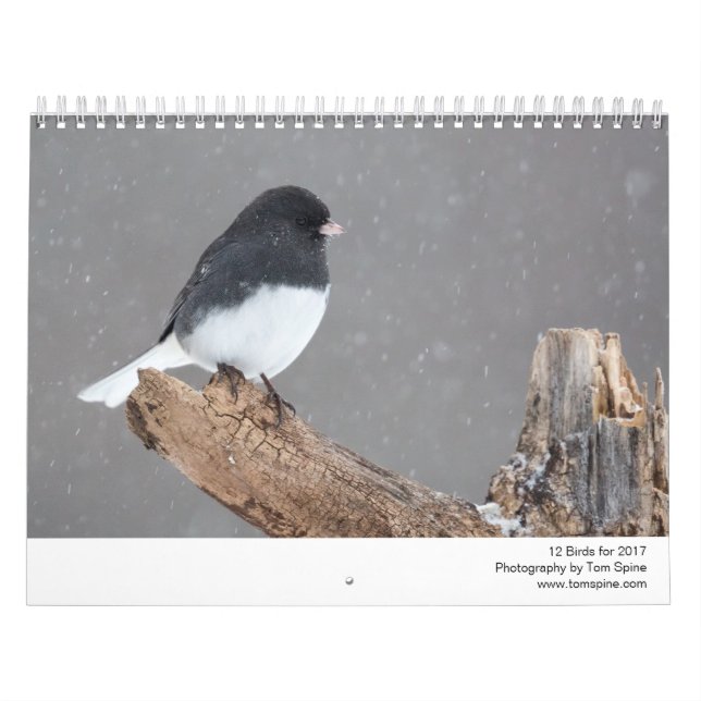 Calendario 12 pájaros para 2017 (subtítulo fijado) (Tapa)