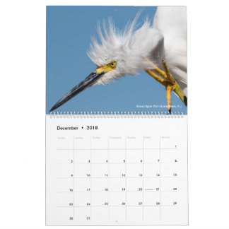 Calendario 12 pájaros para la fotografía 2018 de la espina