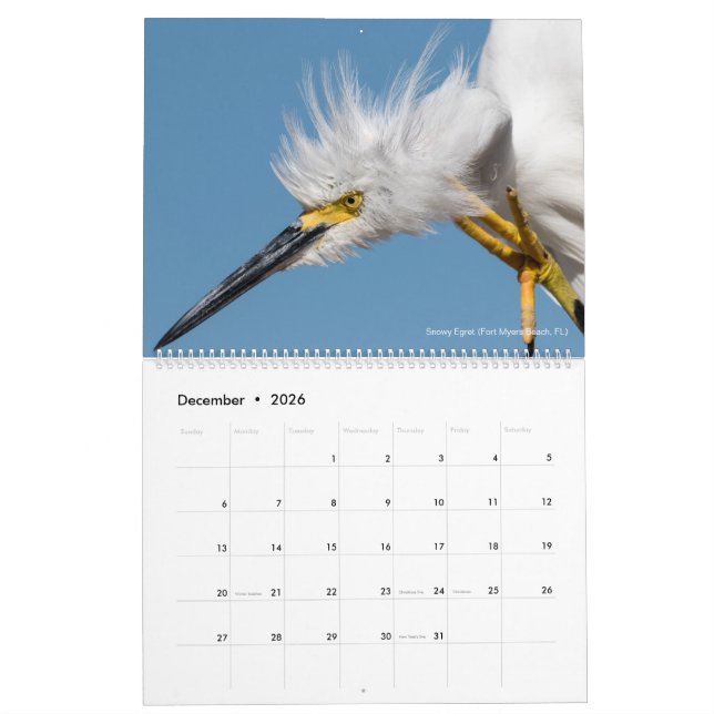 Calendario 12 pájaros para la fotografía 2018 de la espina (Dec 2026)