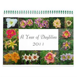 Calendario 14720033, Lumberton daylilies 048, Lumberton da...