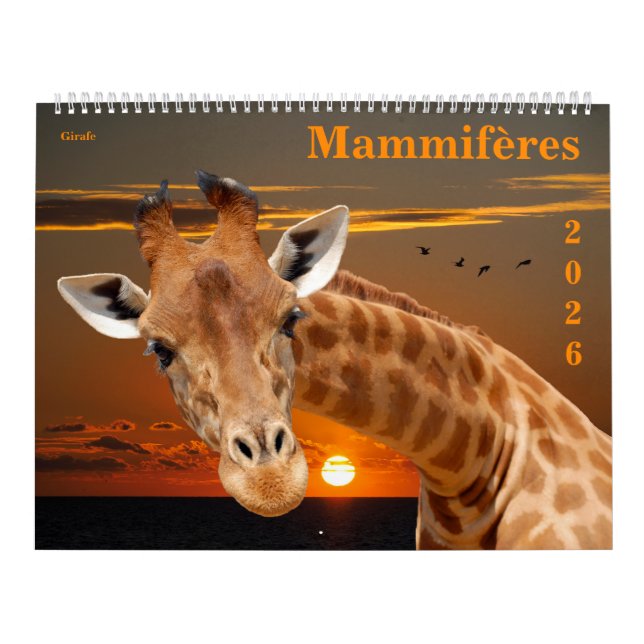 Calendario 14 photos of mammals (Tapa)