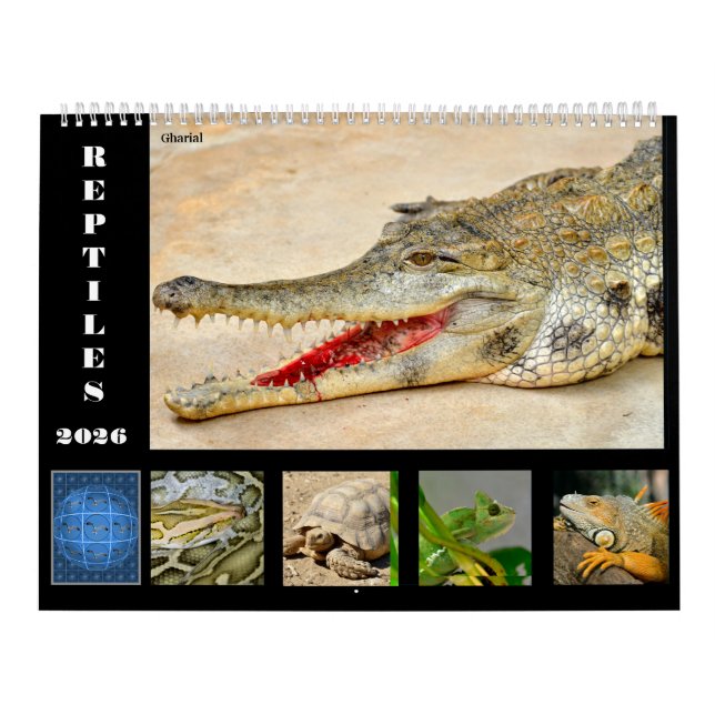 Calendario 14 Photos of Reptiles Calendar (Tapa)