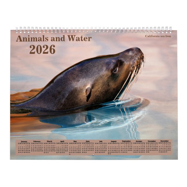 Calendario 14 photos os animals and water (Tapa)