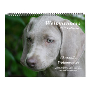 Calendario 1 de Weimaraner