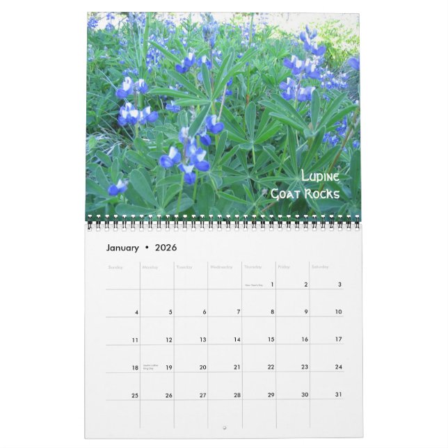 Calendario 1, Flores silvestres alpinas, rocas de cabra, Mt H (Jan 2026)