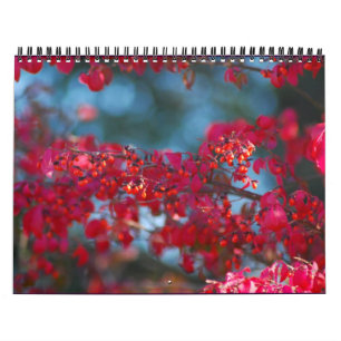 Calendario 2007 de la foto - modificado para