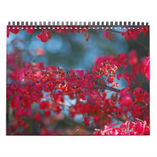 Calendario 2007 de la foto - modificado para