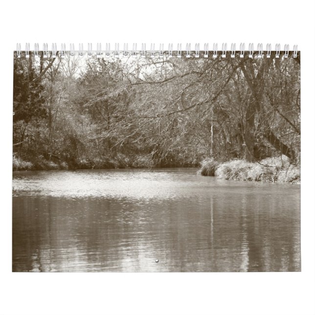 Calendario 2008 (Tapa)