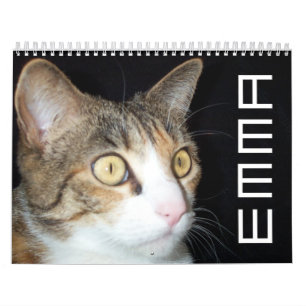 Calendario 2008 de Emma