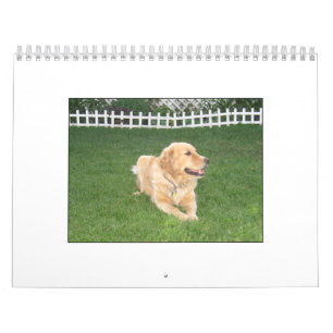 Calendario 2008 de Mack