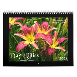 Calendario 2008 del lirio de día