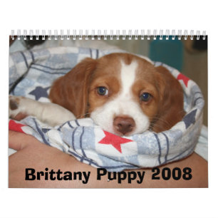 Calendario 2008 del perrito de Bretaña (TODO