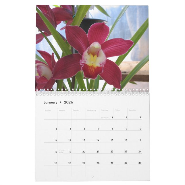Calendario 2008 un año de orquídeas (Jan 2026)
