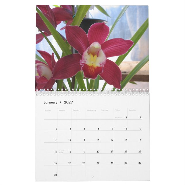 Calendario 2008 un año de orquídeas (Jan 2027)