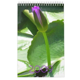 Calendario 2009