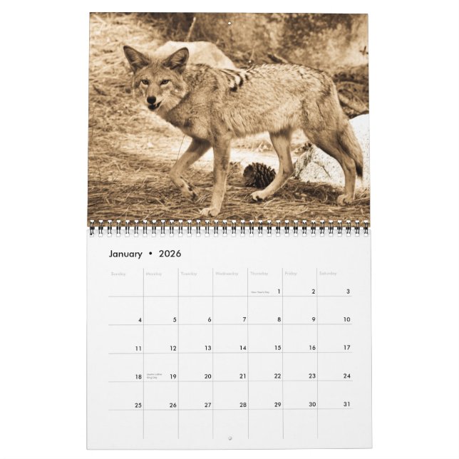 Calendario 2009 (Jan 2026)