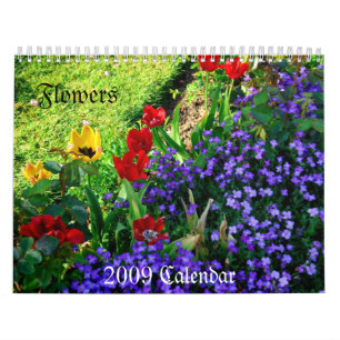 Calendario 2009,