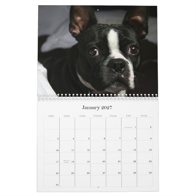 Calendario 2009 de Boston Terrier (Jan 2027)