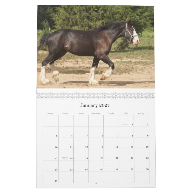 Calendario 2009 de la granja de la cala del paso (Jan 2027)